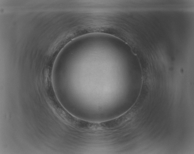 X0000052550742200507011130