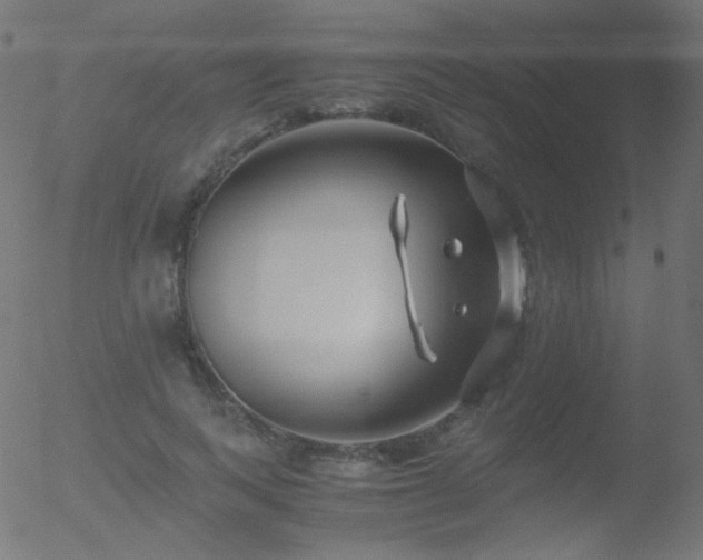 X0000052550743200507011130