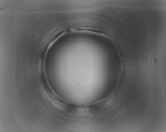 X0000052550744200507011130