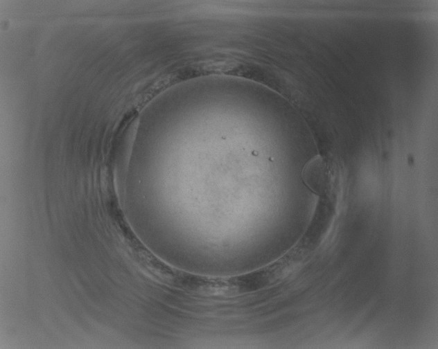 X0000052550745200507011130