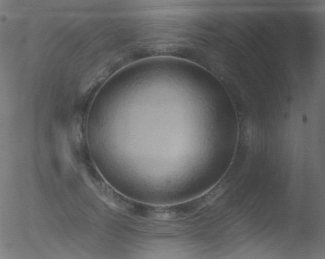 X0000052550746200507011130