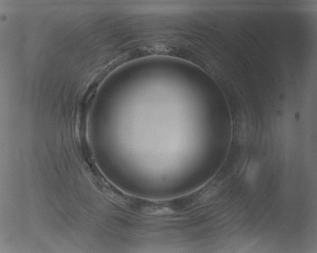 X0000052550747200507011130