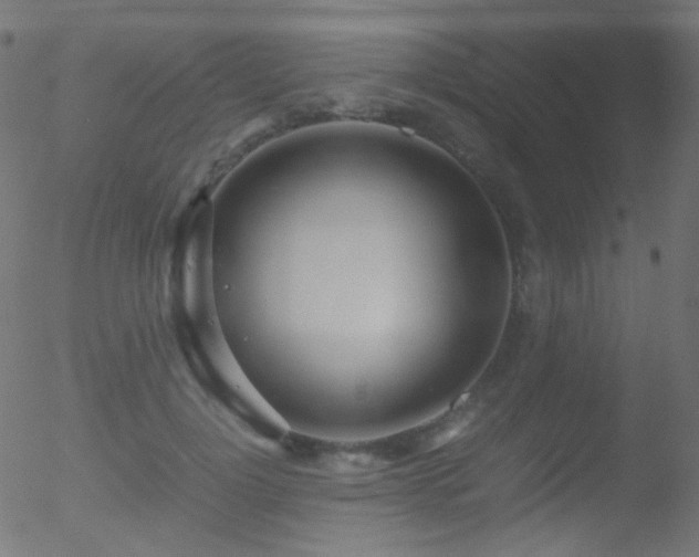 X0000052550748200507011130