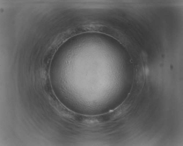 X0000052550749200507011130