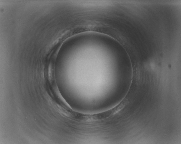 X0000052550750200507011130