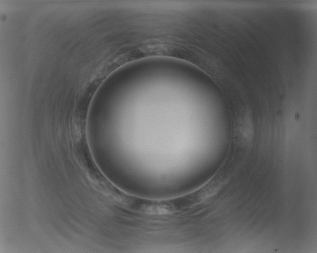 X0000052550751200507011130