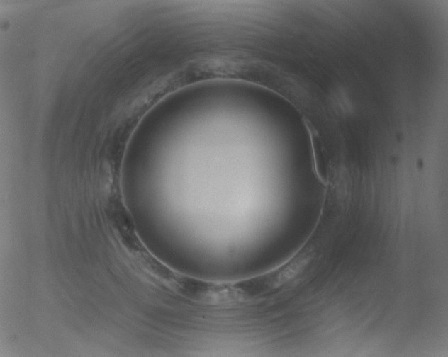 X0000052550752200507011130