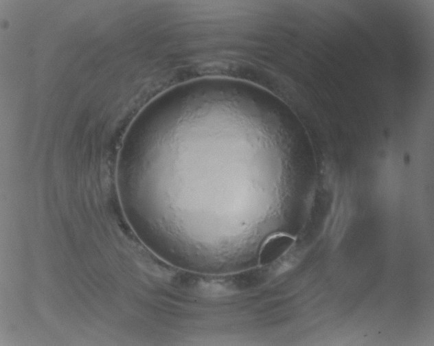 X0000052550753200507011130