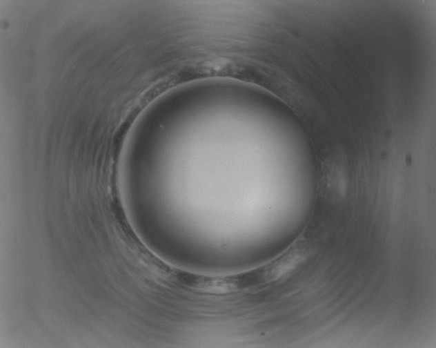 X0000052550754200507011130