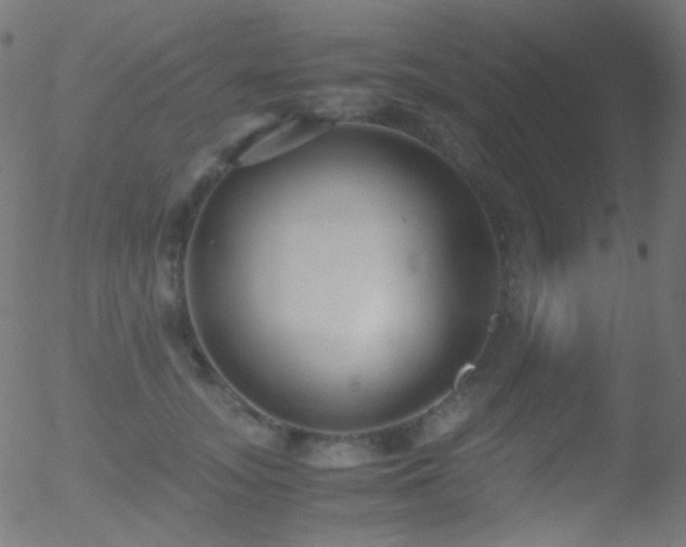 X0000052550755200507011130