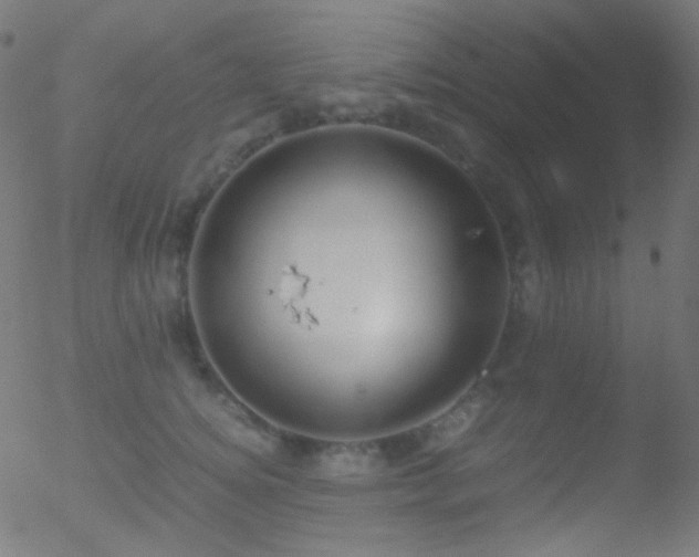 X0000052550756200507011130