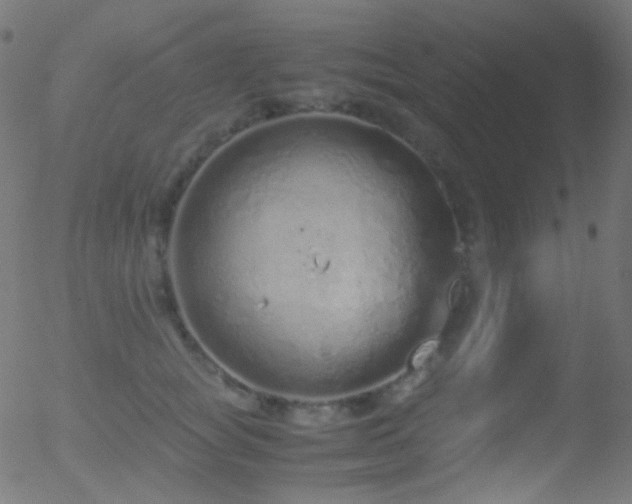 X0000052550757200507011130