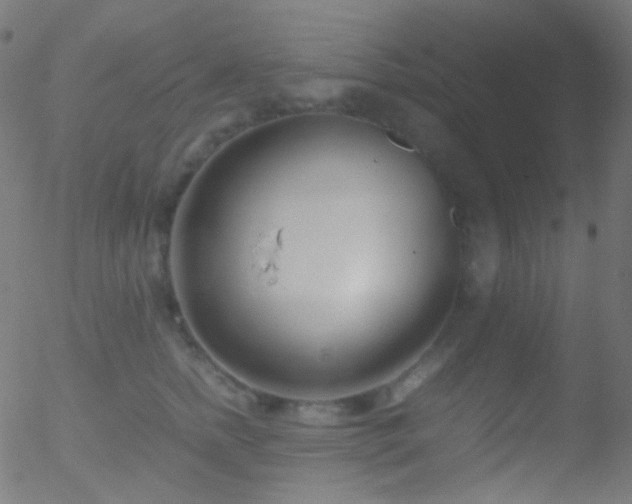 X0000052550758200507011130