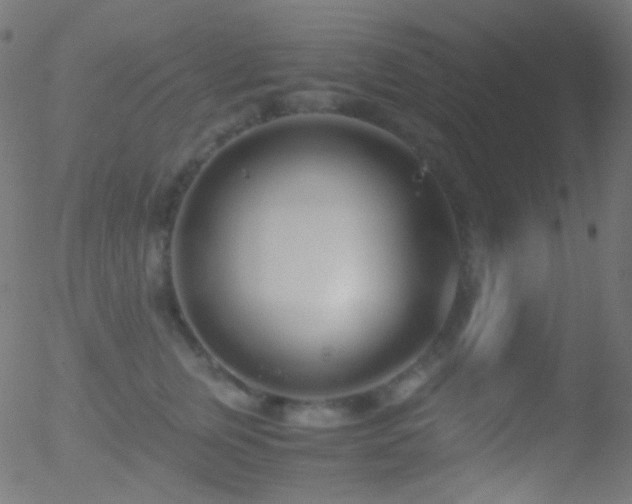 X0000052550759200507011130