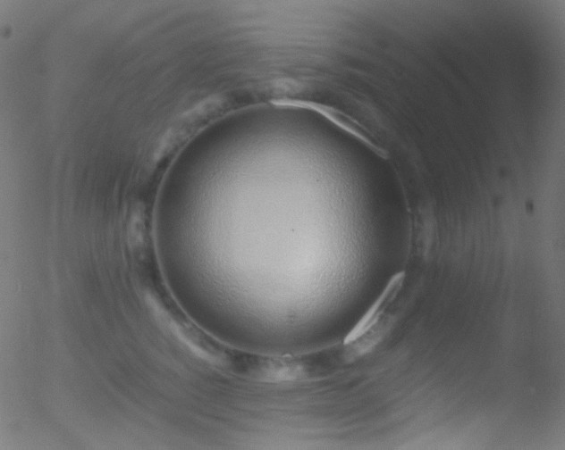 X0000052550760200507011130