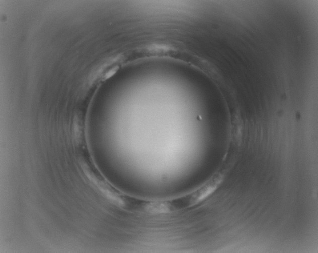 X0000052550762200507011130