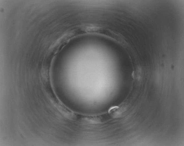 X0000052550763200507011130