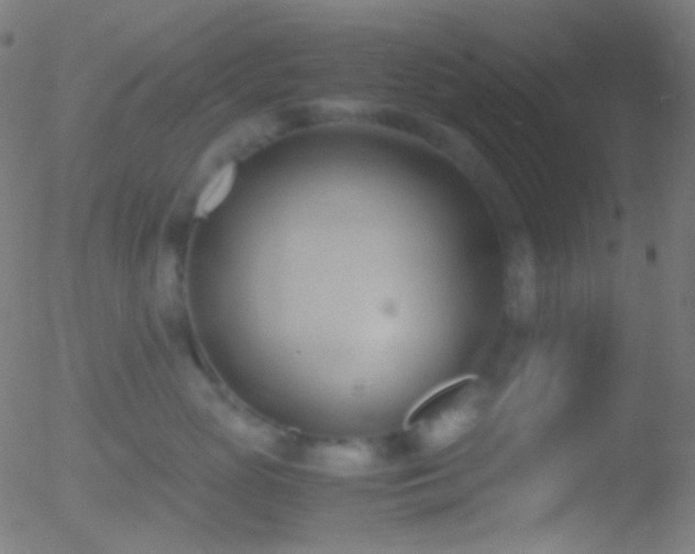 X0000052550765200507011130