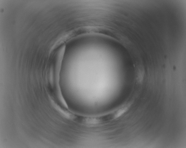 X0000052550766200507011130