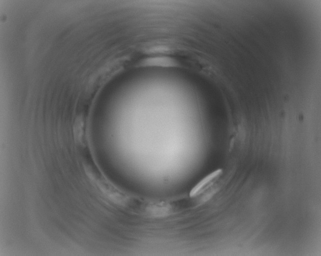 X0000052550767200507011130