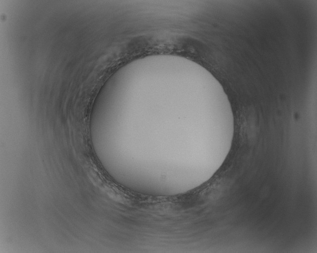 X0000052550769200507011129