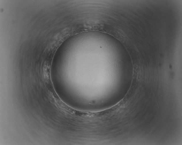 X0000052550770200507011129