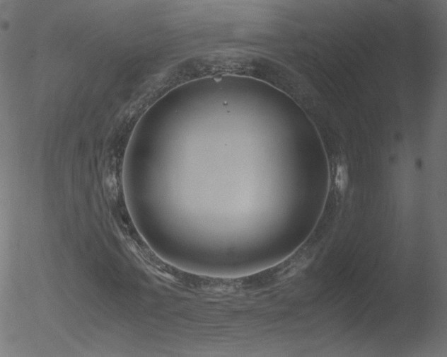 X0000052550771200507011129