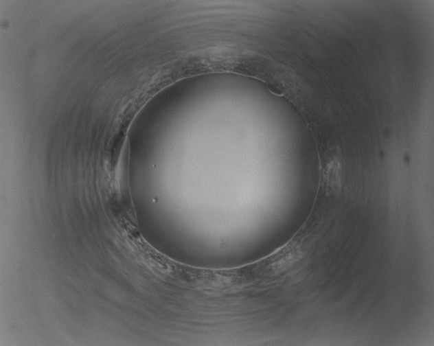 X0000052550772200507011129