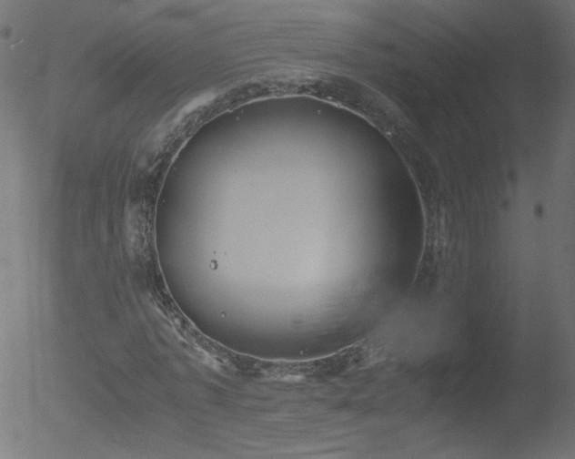 X0000052550773200507011129