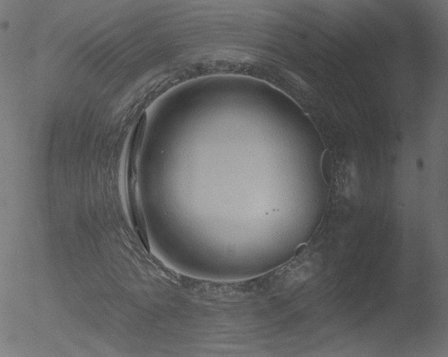 X0000052550774200507011129