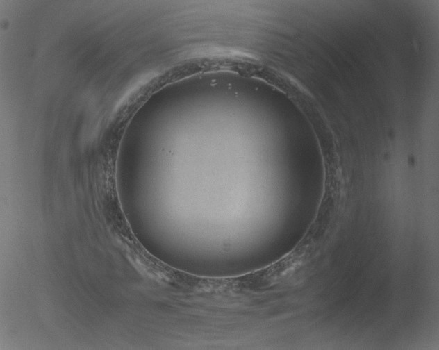 X0000052550775200507011129