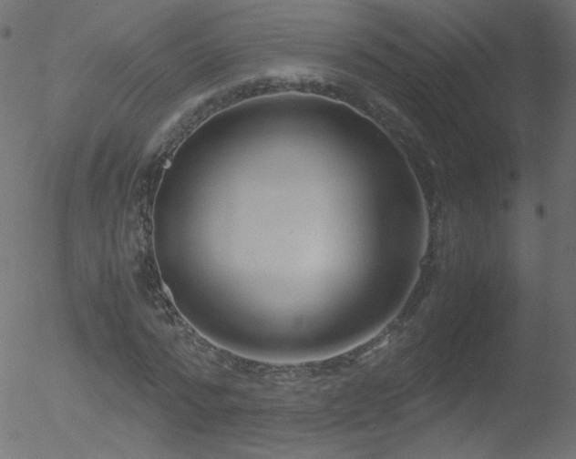 X0000052550776200507011129