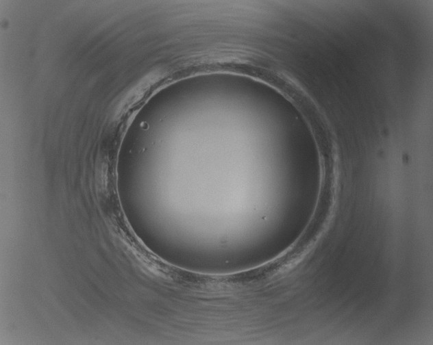 X0000052550777200507011129