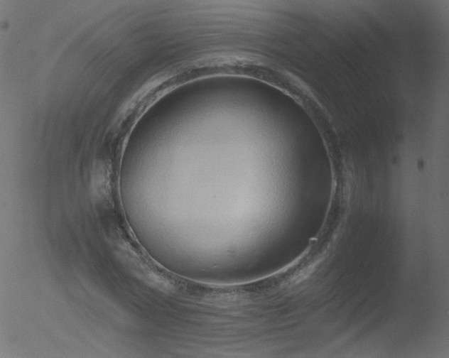 X0000052550778200507011129