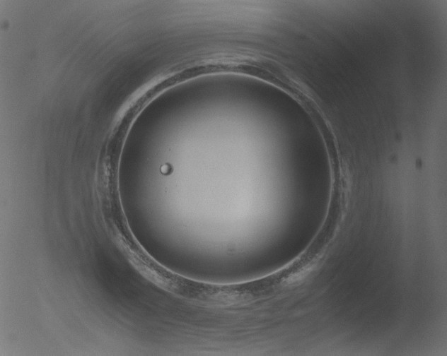 X0000052550779200507011129