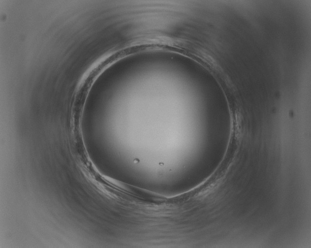 X0000052550780200507011129