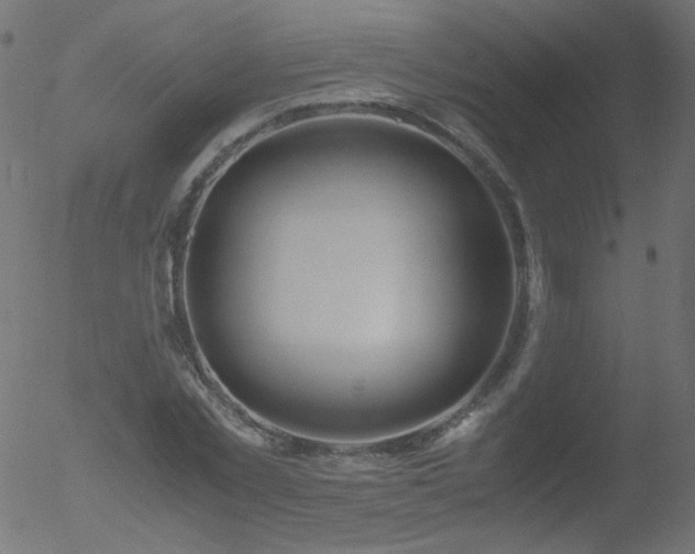 X0000052550781200507011129