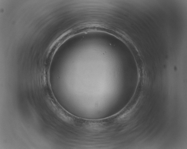 X0000052550782200507011129