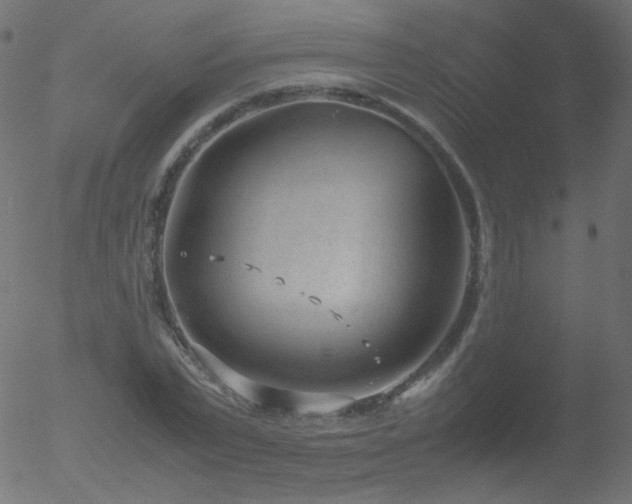 X0000052550783200507011129