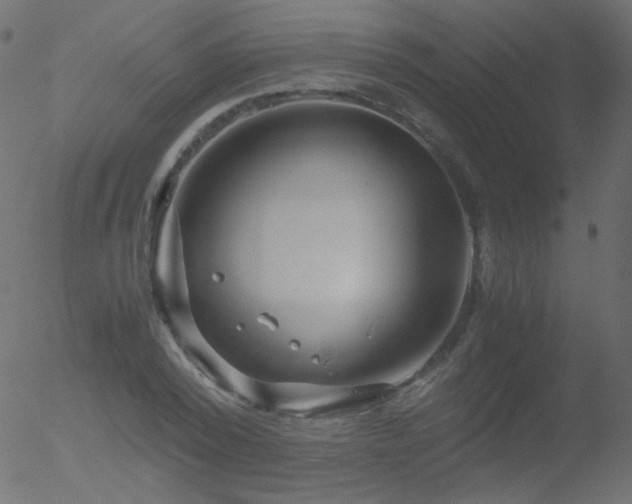 X0000052550784200507011129