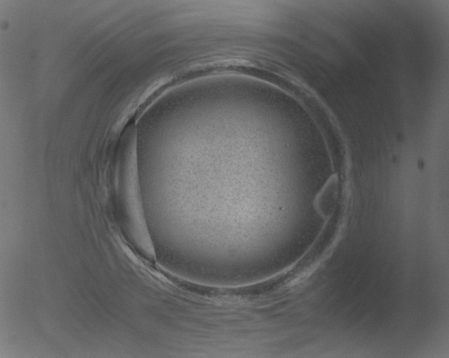 X0000052550785200507011129