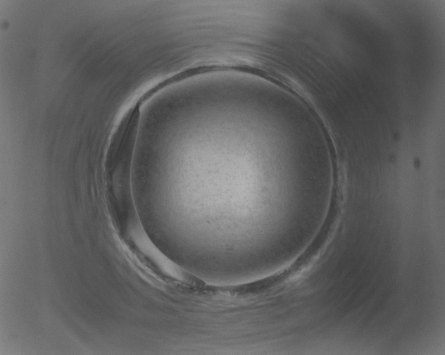 X0000052550787200507011129