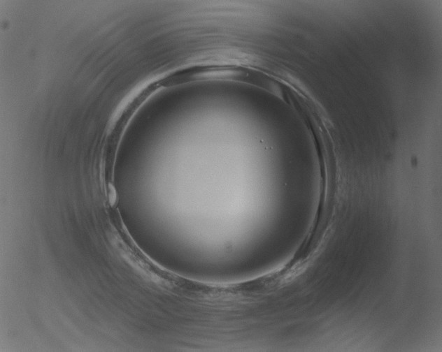 X0000052550788200507011129