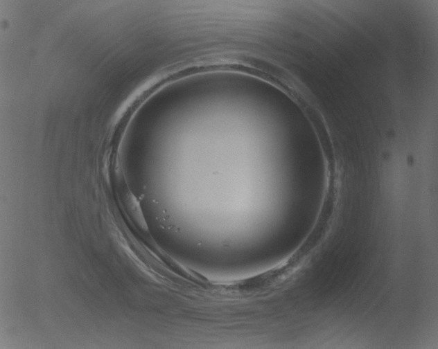 X0000052550789200507011129