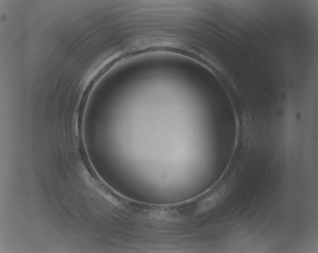 X0000052550790200507011129