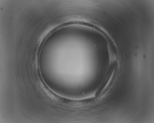 X0000052550791200507011129