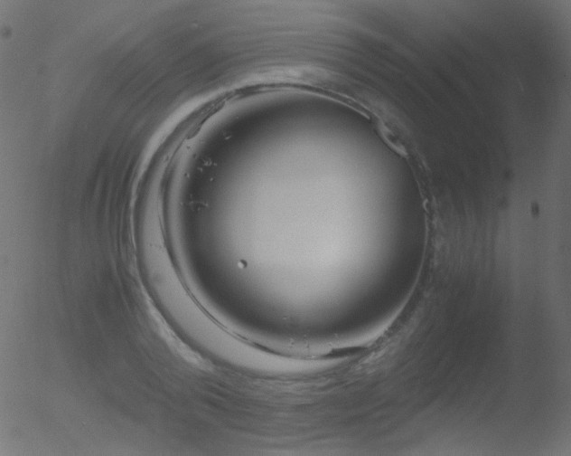 X0000052550792200507011129