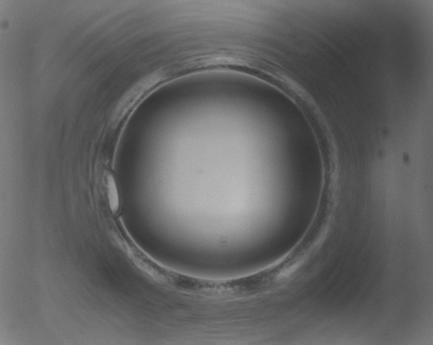 X0000052550793200507011129