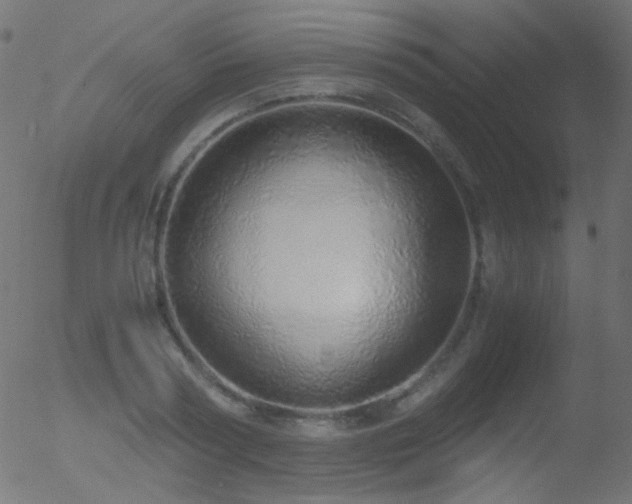 X0000052550794200507011129