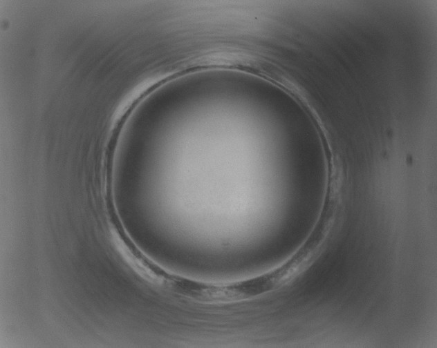 X0000052550795200507011129